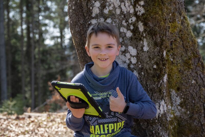 Leisure tip: Explor Games in the Action Forest Leisure tip: Explor Games in the Action Forest