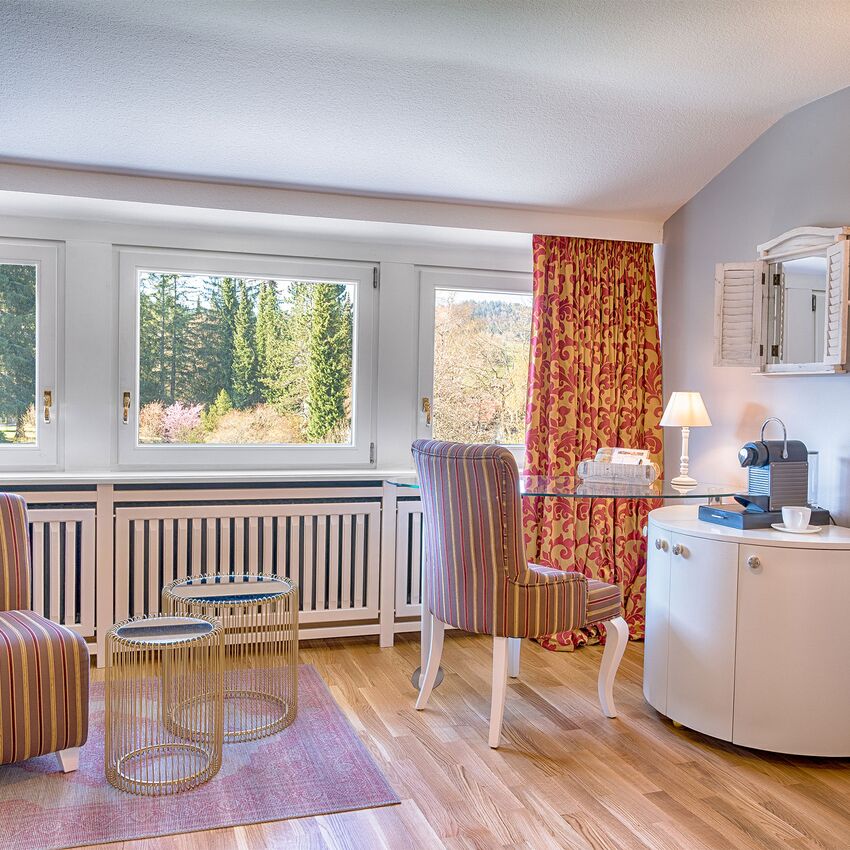 Classic Single Room in the Black Forest
