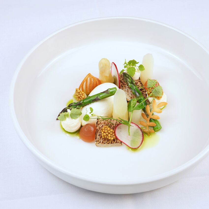 Char, asparagus, rhubarb, mustard as a starter for the 4-course menu