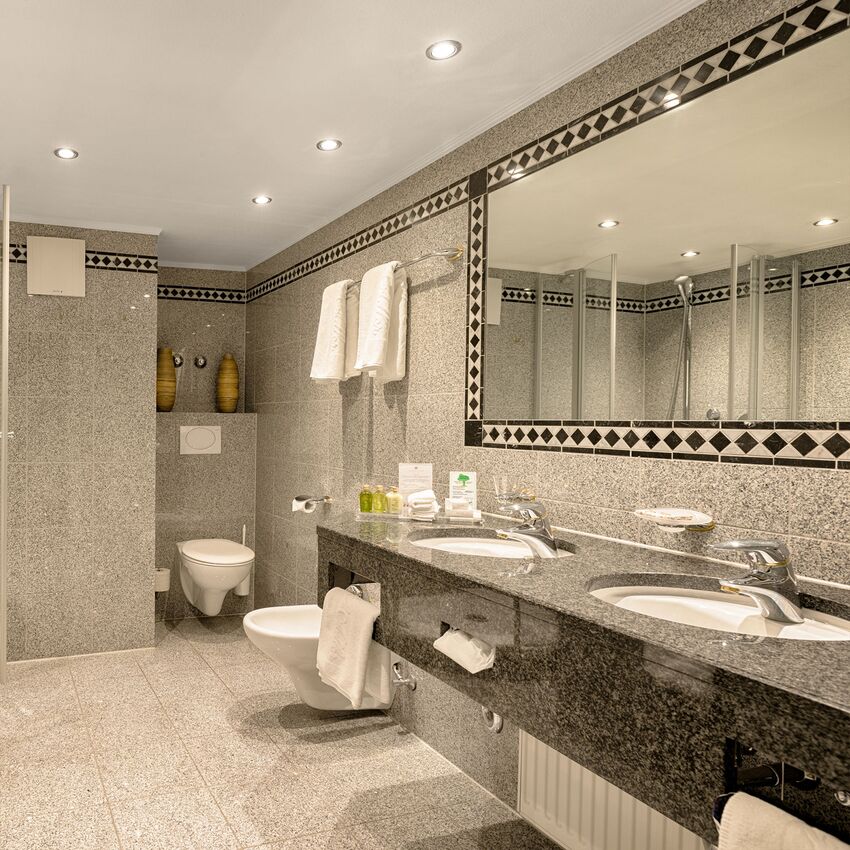 Classic Junior Suite Black Forest House Bathroom