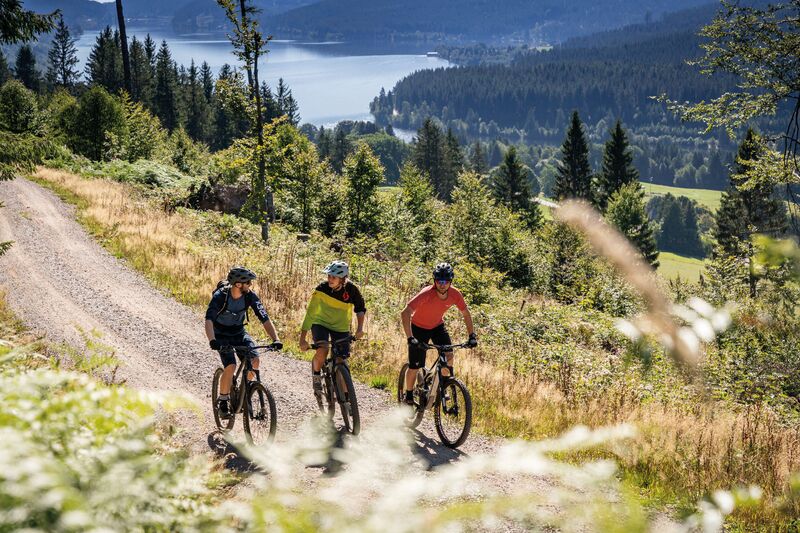 Biken im Schwarzwald Biken im Schwarzwald