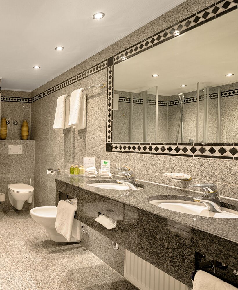 Classic Junior Suite Black Forest House Bathroom